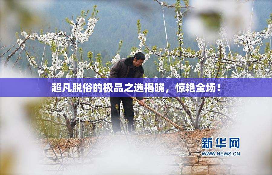 超凡脱俗的极品之选揭晓，惊艳全场！
