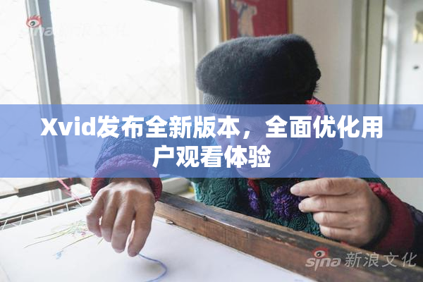 Xvid发布全新版本，全面优化用户观看体验