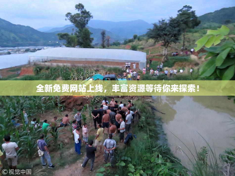 全新免费网站上线，丰富资源等待你来探索！