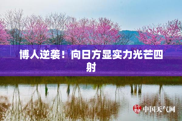 博人逆袭！向日方显实力光芒四射
