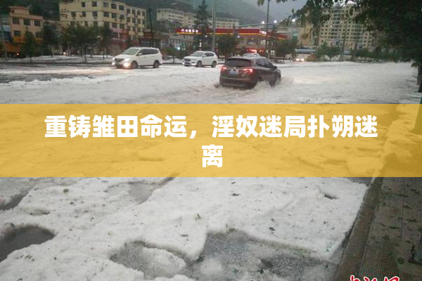 重铸雏田命运，淫奴迷局扑朔迷离