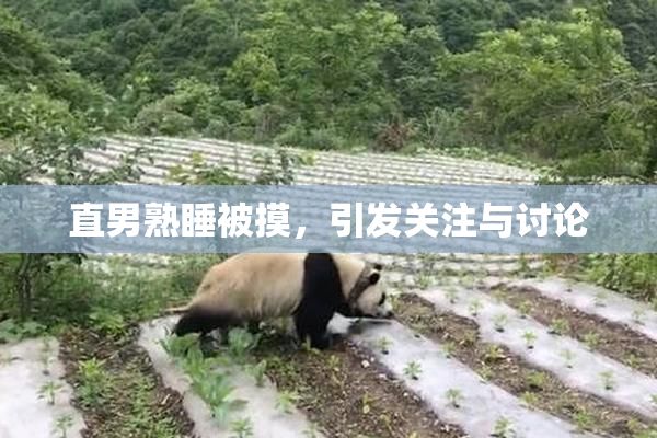 直男熟睡被摸，引发关注与讨论