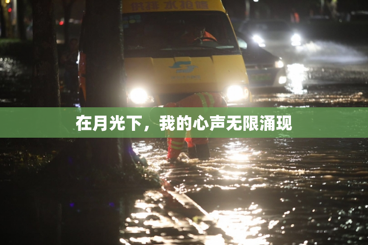 在月光下，我的心声无限涌现