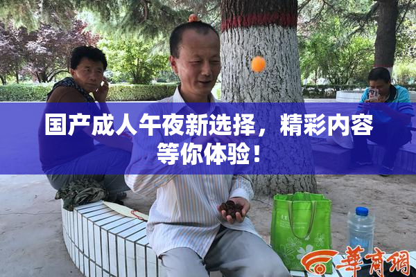 国产成人午夜新选择，精彩内容等你体验！
