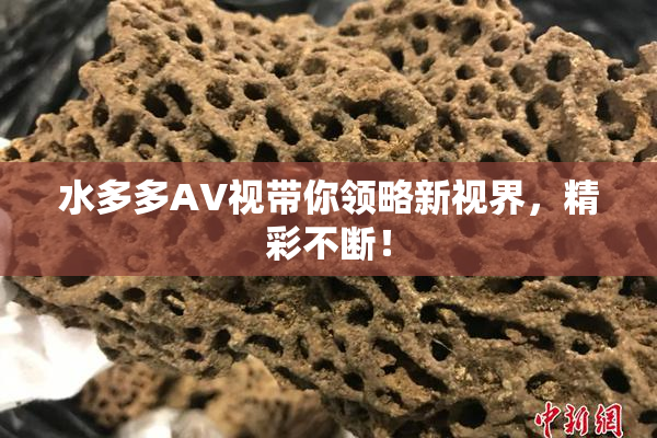 水多多AV视带你领略新视界，精彩不断！