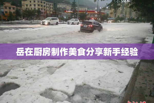 岳在厨房制作美食分享新手经验