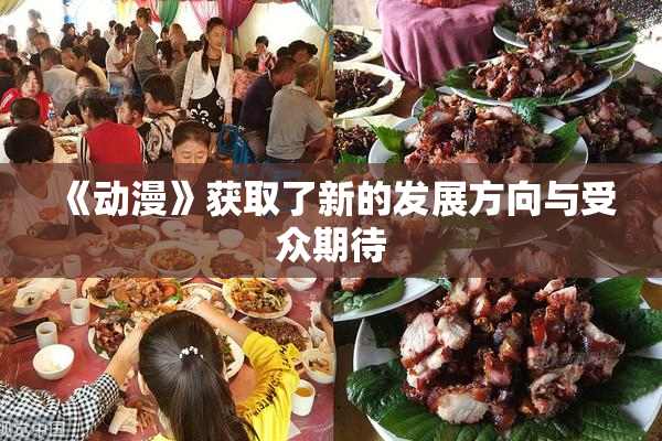 《动漫》获取了新的发展方向与受众期待