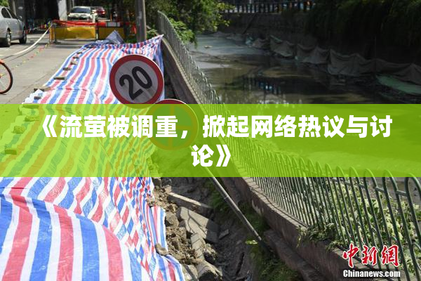 《流萤被调重，掀起网络热议与讨论》