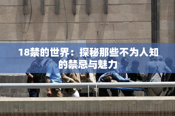 18禁的世界：探秘那些不为人知的禁忌与魅力