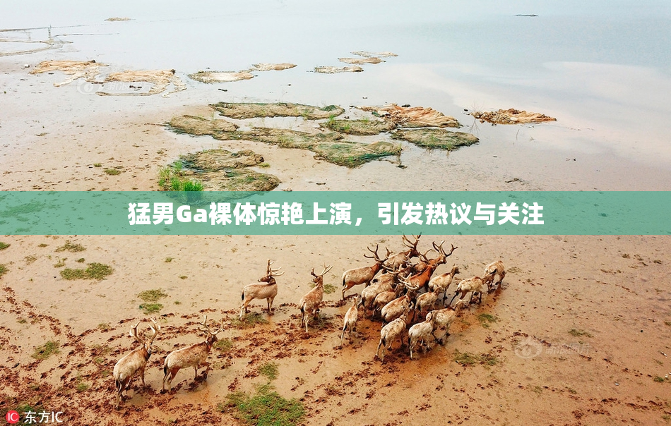 猛男Ga裸体惊艳上演，引发热议与关注