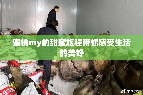蜜桃my的甜蜜旅程带你感受生活的美好