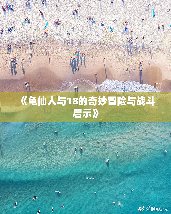 《龟仙人与18的奇妙冒险与战斗启示》