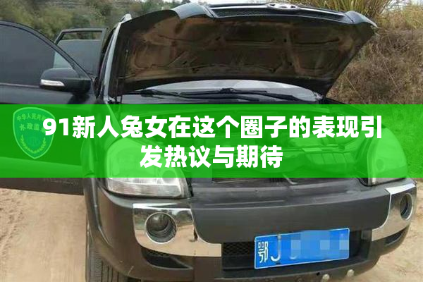 91新人兔女在这个圈子的表现引发热议与期待