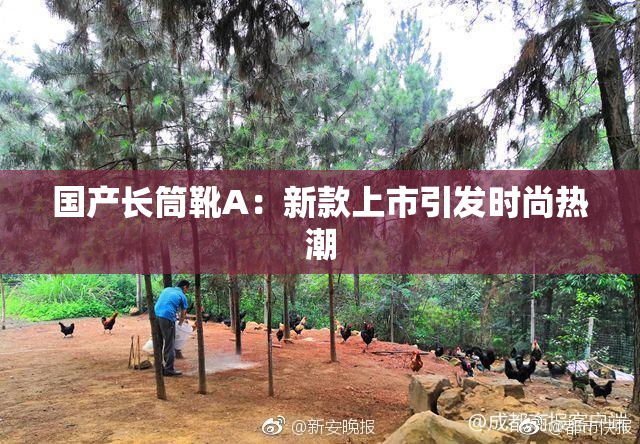国产长筒靴A：新款上市引发时尚热潮