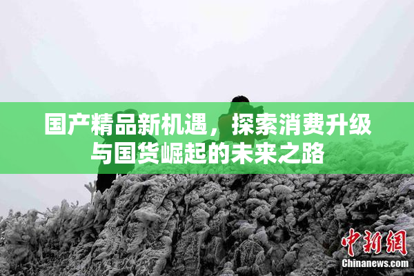 国产精品新机遇，探索消费升级与国货崛起的未来之路