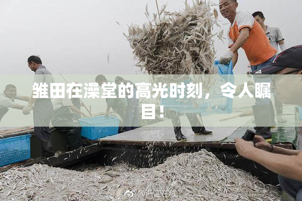 雏田在澡堂的高光时刻，令人瞩目！