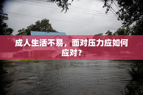 成人生活不易，面对压力应如何应对？