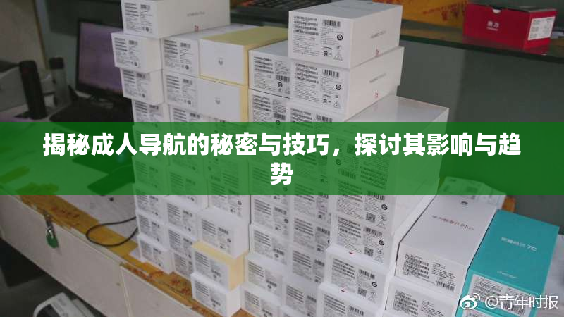 揭秘成人导航的秘密与技巧，探讨其影响与趋势