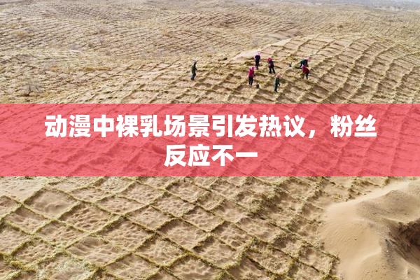 动漫中裸乳场景引发热议，粉丝反应不一