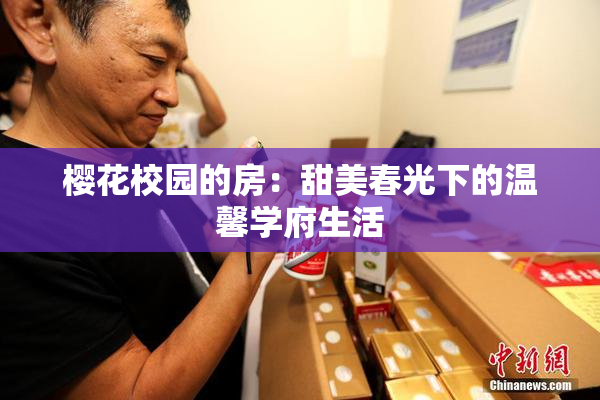 樱花校园的房：甜美春光下的温馨学府生活