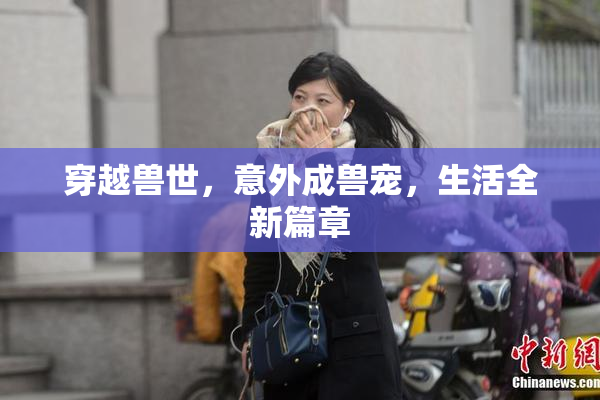 穿越兽世，意外成兽宠，生活全新篇章