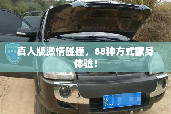 真人版激情碰撞，68种方式献身体验！