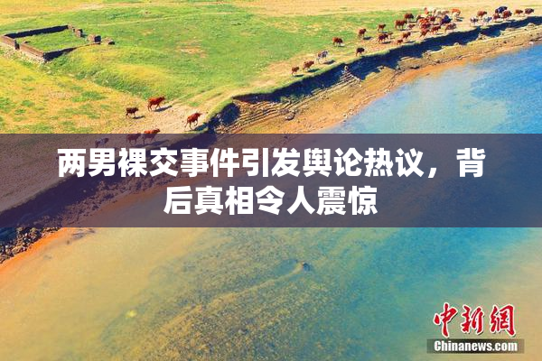 两男裸交事件引发舆论热议，背后真相令人震惊