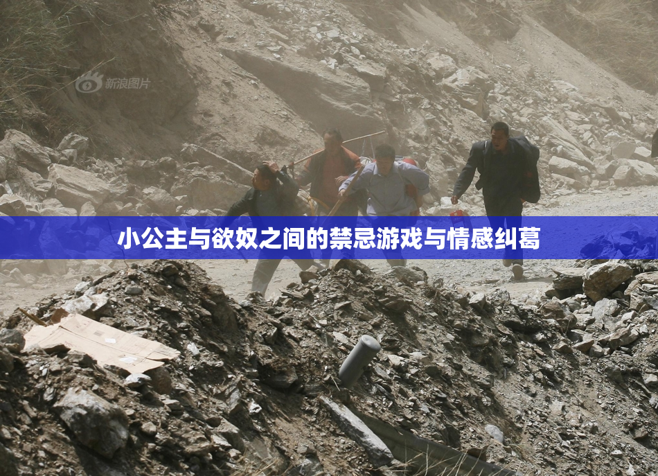 小公主与欲奴之间的禁忌游戏与情感纠葛