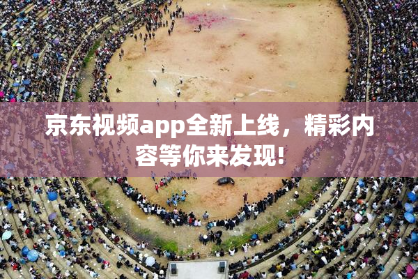 京东视频app全新上线，精彩内容等你来发现!