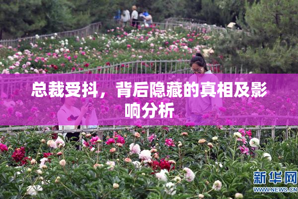 总裁受抖，背后隐藏的真相及影响分析