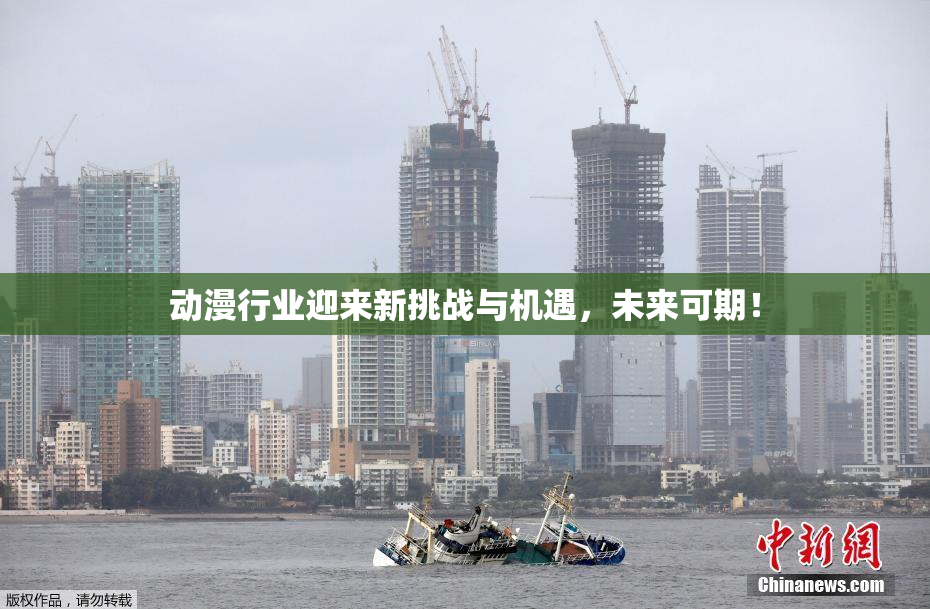 动漫行业迎来新挑战与机遇，未来可期！