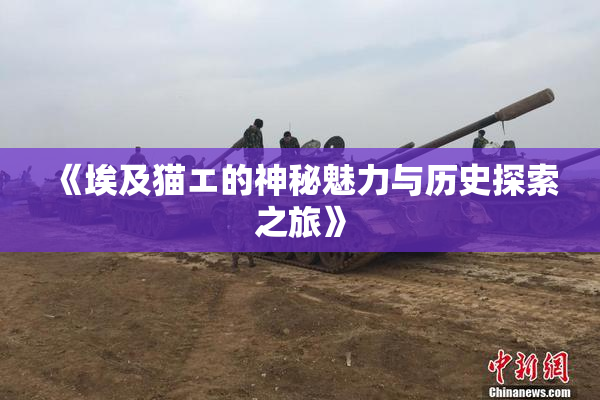 《埃及猫エ的神秘魅力与历史探索之旅》