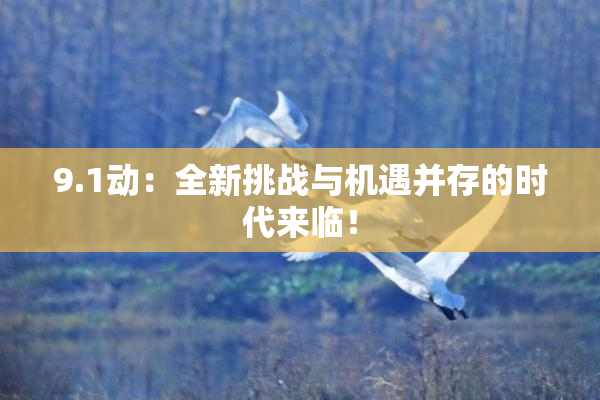 9.1动：全新挑战与机遇并存的时代来临！