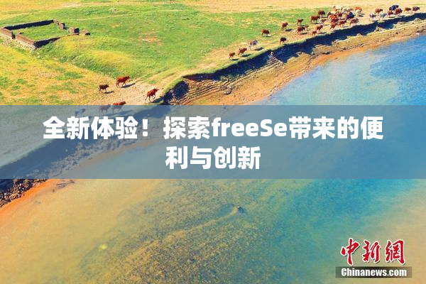 全新体验！探索freeSe带来的便利与创新