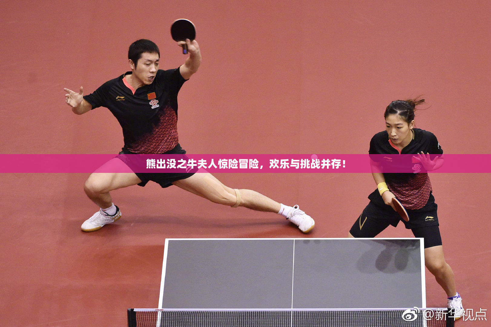 熊出没之牛夫人惊险冒险，欢乐与挑战并存！