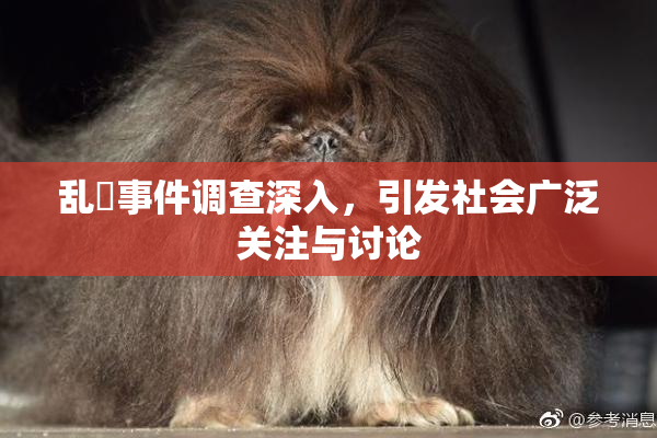 乱婬事件调查深入，引发社会广泛关注与讨论