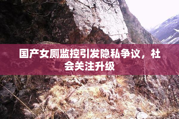 国产女厕监控引发隐私争议，社会关注升级