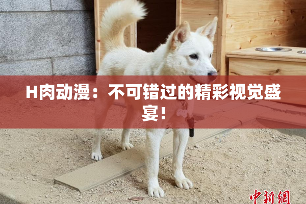 H肉动漫：不可错过的精彩视觉盛宴！