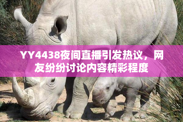 YY4438夜间直播引发热议，网友纷纷讨论内容精彩程度