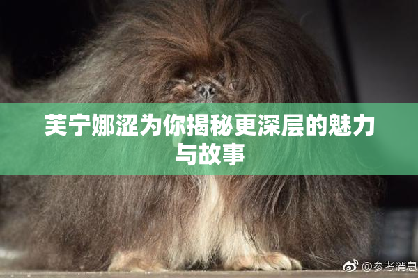 芙宁娜涩为你揭秘更深层的魅力与故事