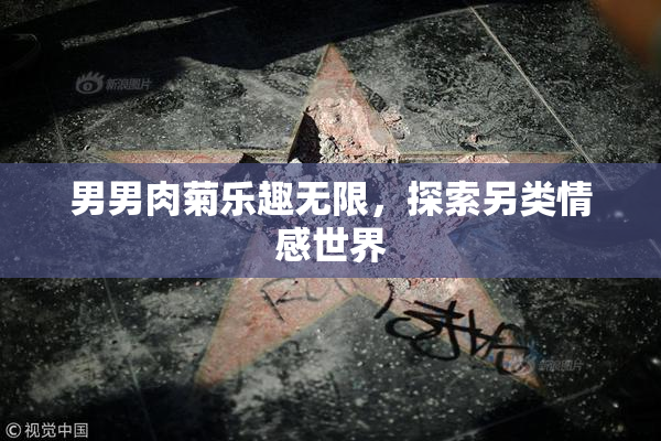 男男肉菊乐趣无限，探索另类情感世界