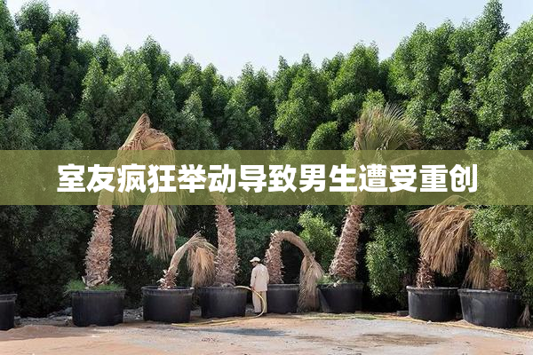 室友疯狂举动导致男生遭受重创