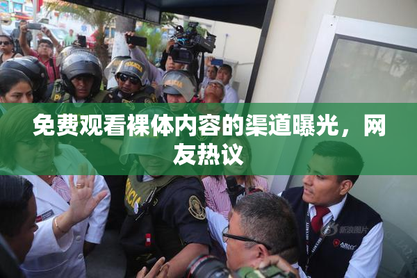 免费观看裸体内容的渠道曝光，网友热议