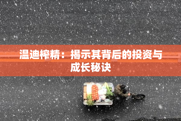 温迪榨精：揭示其背后的投资与成长秘诀