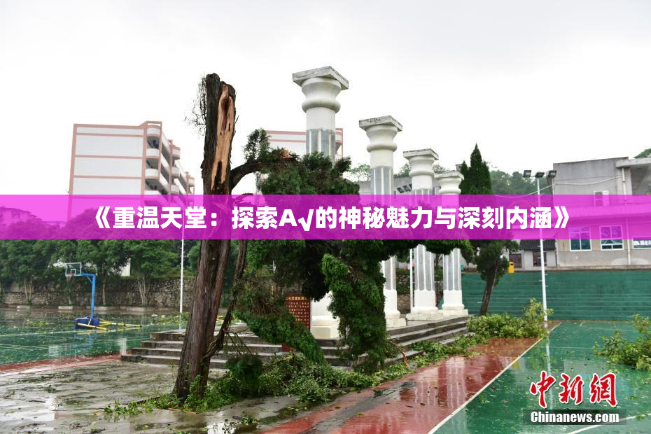 《重温天堂：探索А√的神秘魅力与深刻内涵》