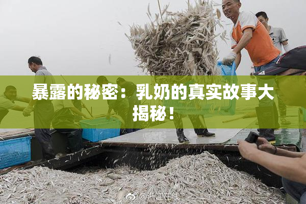 暴露的秘密：乳奶的真实故事大揭秘！
