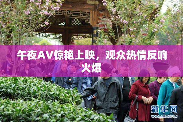 午夜AV惊艳上映，观众热情反响火爆