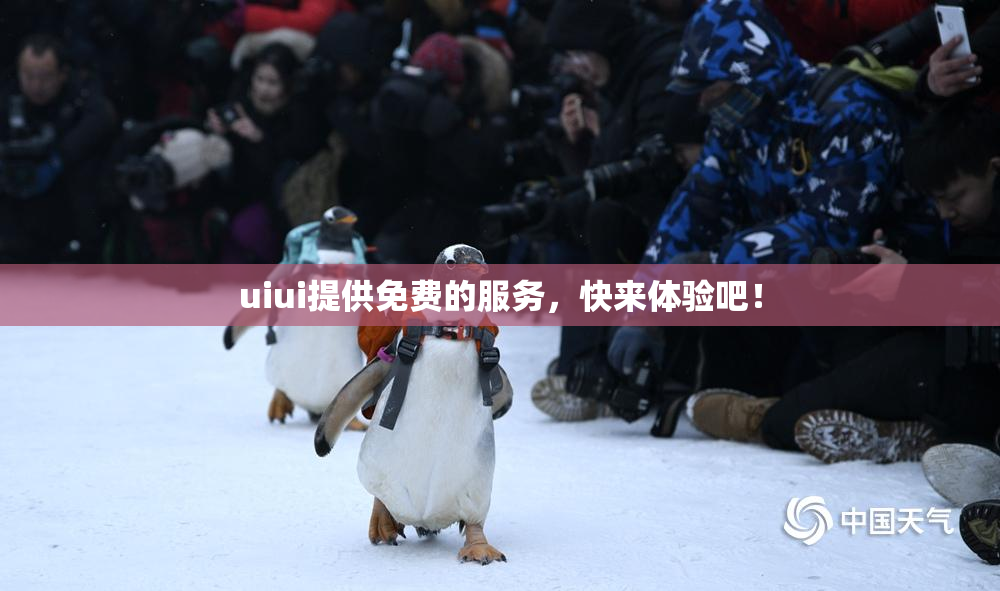 uiui提供免费的服务，快来体验吧！