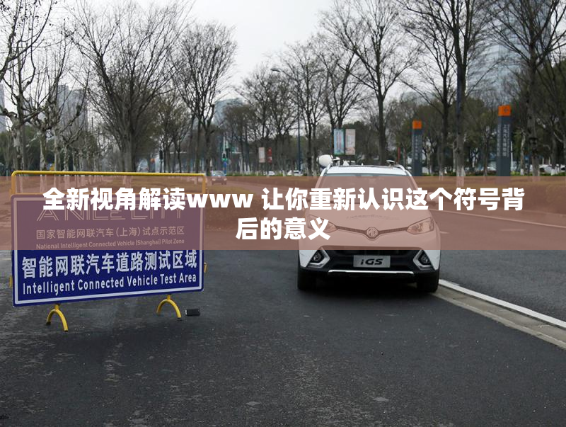 全新视角解读www 让你重新认识这个符号背后的意义