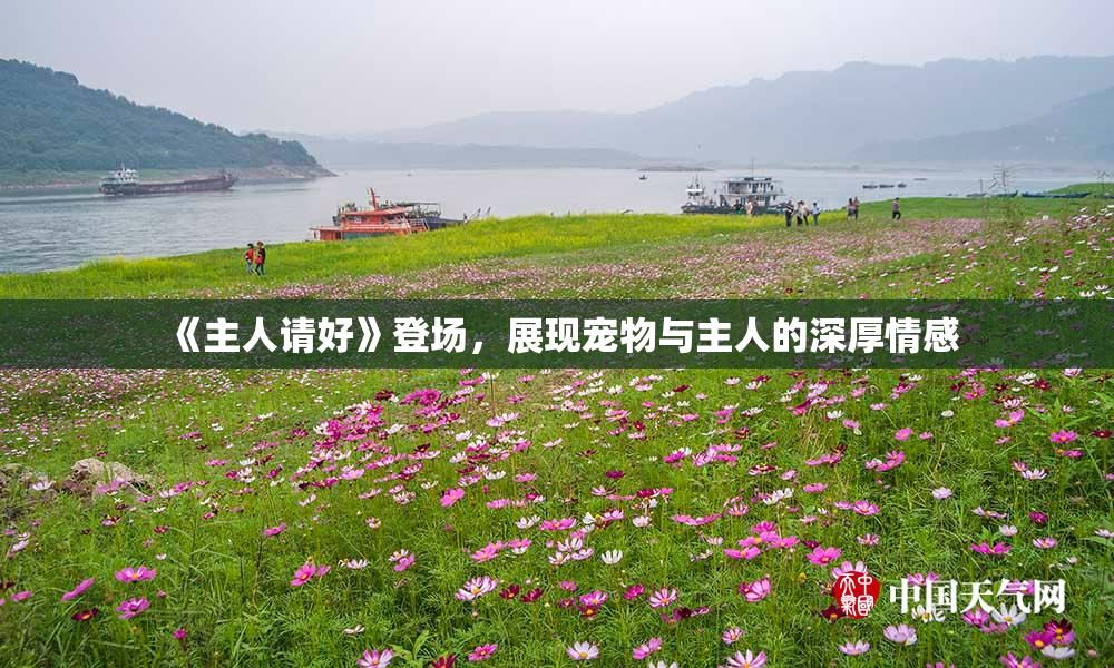 《主人请好》登场，展现宠物与主人的深厚情感